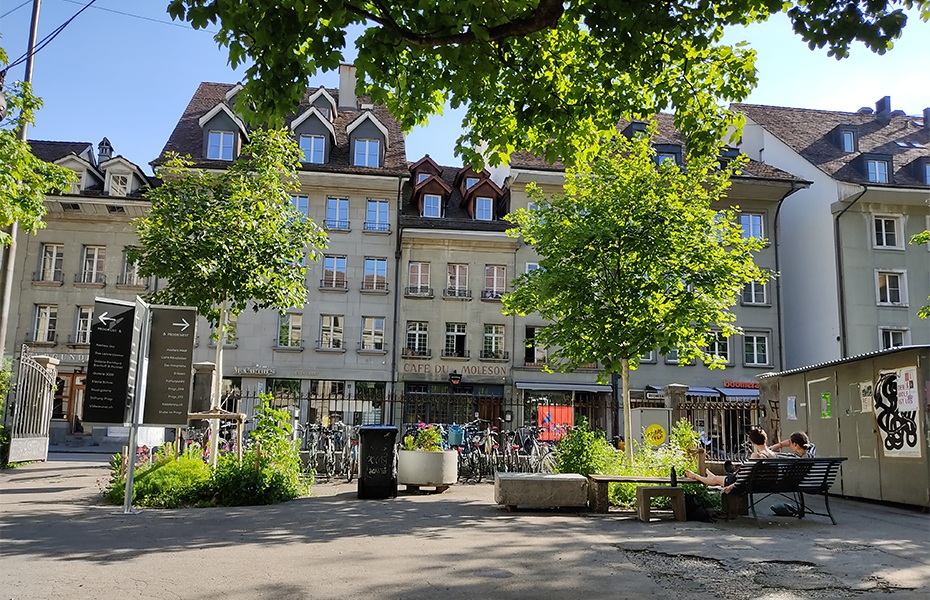 Anwachspflege Baumpflege Hofstetter GmbH
