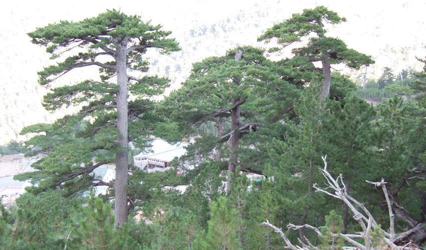 Qualität & Sicherheit