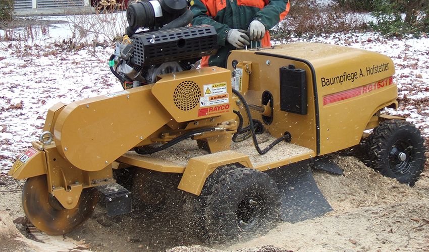 Baumstrunkfällung Hofstetter Baumpflege